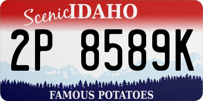 ID license plate 2P8589K