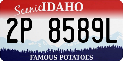 ID license plate 2P8589L
