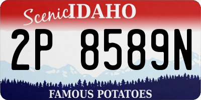 ID license plate 2P8589N