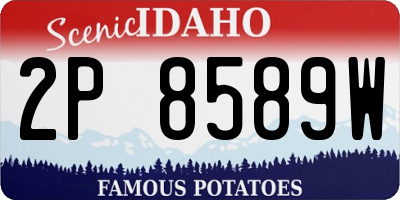 ID license plate 2P8589W