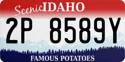 ID license plate 2P8589Y