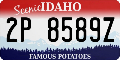 ID license plate 2P8589Z