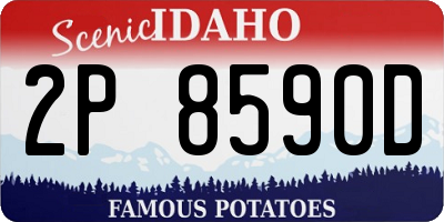 ID license plate 2P8590D