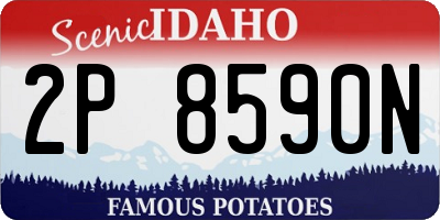 ID license plate 2P8590N