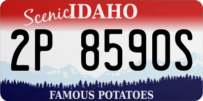 ID license plate 2P8590S