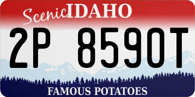 ID license plate 2P8590T