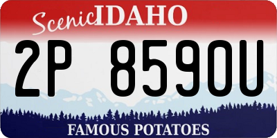 ID license plate 2P8590U
