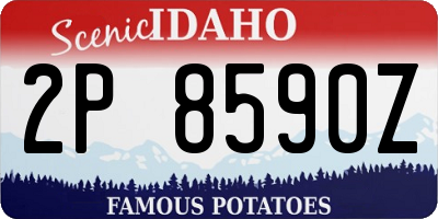 ID license plate 2P8590Z