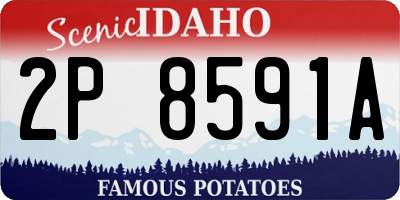 ID license plate 2P8591A