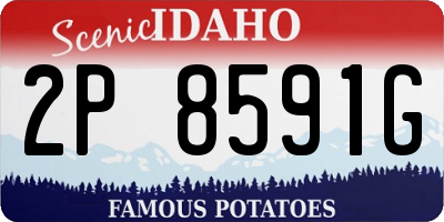 ID license plate 2P8591G