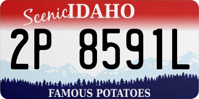 ID license plate 2P8591L
