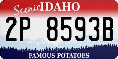 ID license plate 2P8593B