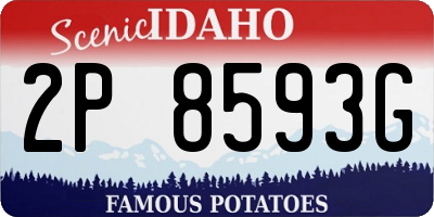 ID license plate 2P8593G