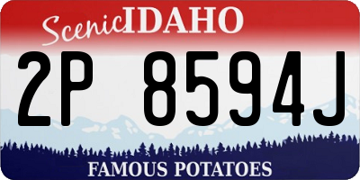 ID license plate 2P8594J
