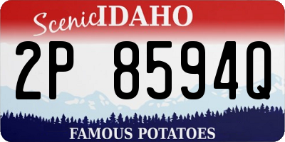 ID license plate 2P8594Q