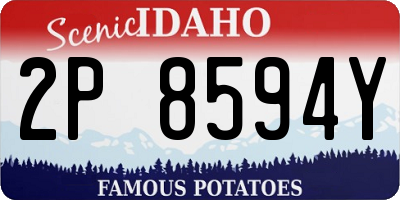 ID license plate 2P8594Y