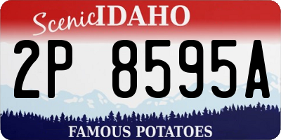 ID license plate 2P8595A