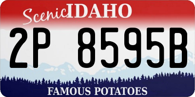 ID license plate 2P8595B