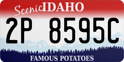 ID license plate 2P8595C