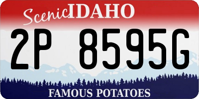 ID license plate 2P8595G