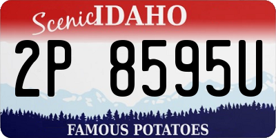 ID license plate 2P8595U