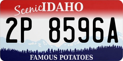ID license plate 2P8596A