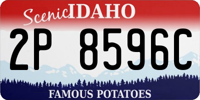 ID license plate 2P8596C
