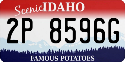 ID license plate 2P8596G