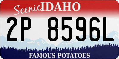 ID license plate 2P8596L