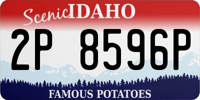 ID license plate 2P8596P