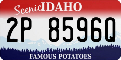 ID license plate 2P8596Q