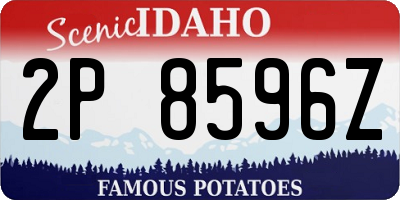 ID license plate 2P8596Z