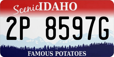 ID license plate 2P8597G