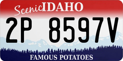 ID license plate 2P8597V