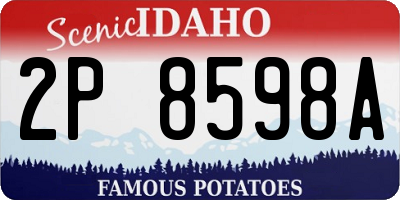 ID license plate 2P8598A
