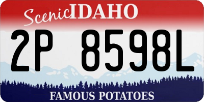 ID license plate 2P8598L