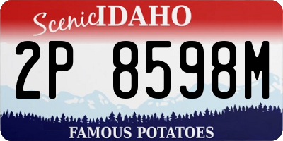 ID license plate 2P8598M