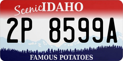 ID license plate 2P8599A
