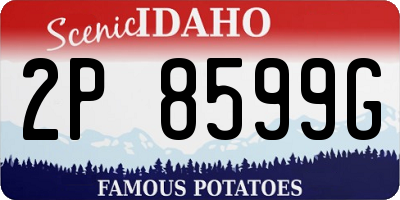 ID license plate 2P8599G