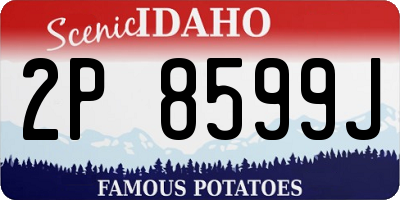 ID license plate 2P8599J