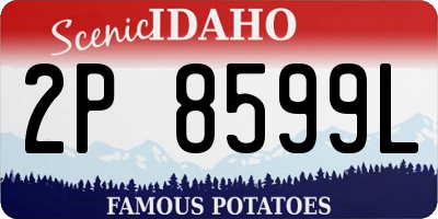 ID license plate 2P8599L