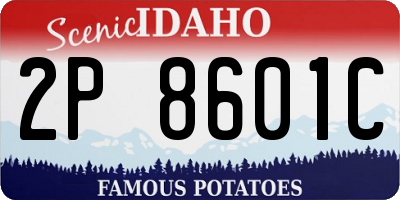 ID license plate 2P8601C