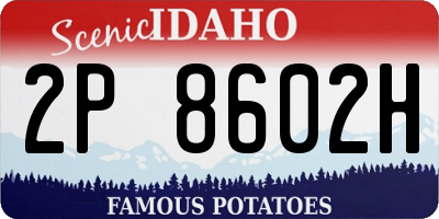 ID license plate 2P8602H