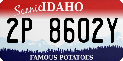 ID license plate 2P8602Y