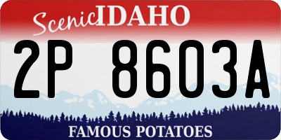 ID license plate 2P8603A