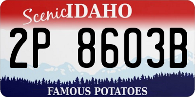 ID license plate 2P8603B