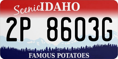 ID license plate 2P8603G
