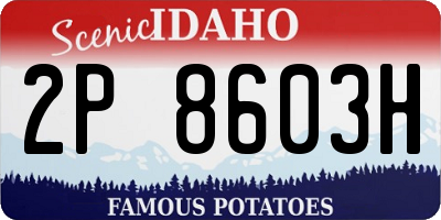 ID license plate 2P8603H