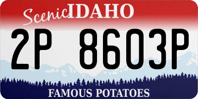 ID license plate 2P8603P