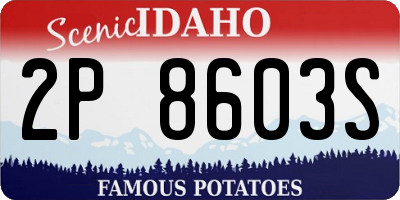ID license plate 2P8603S